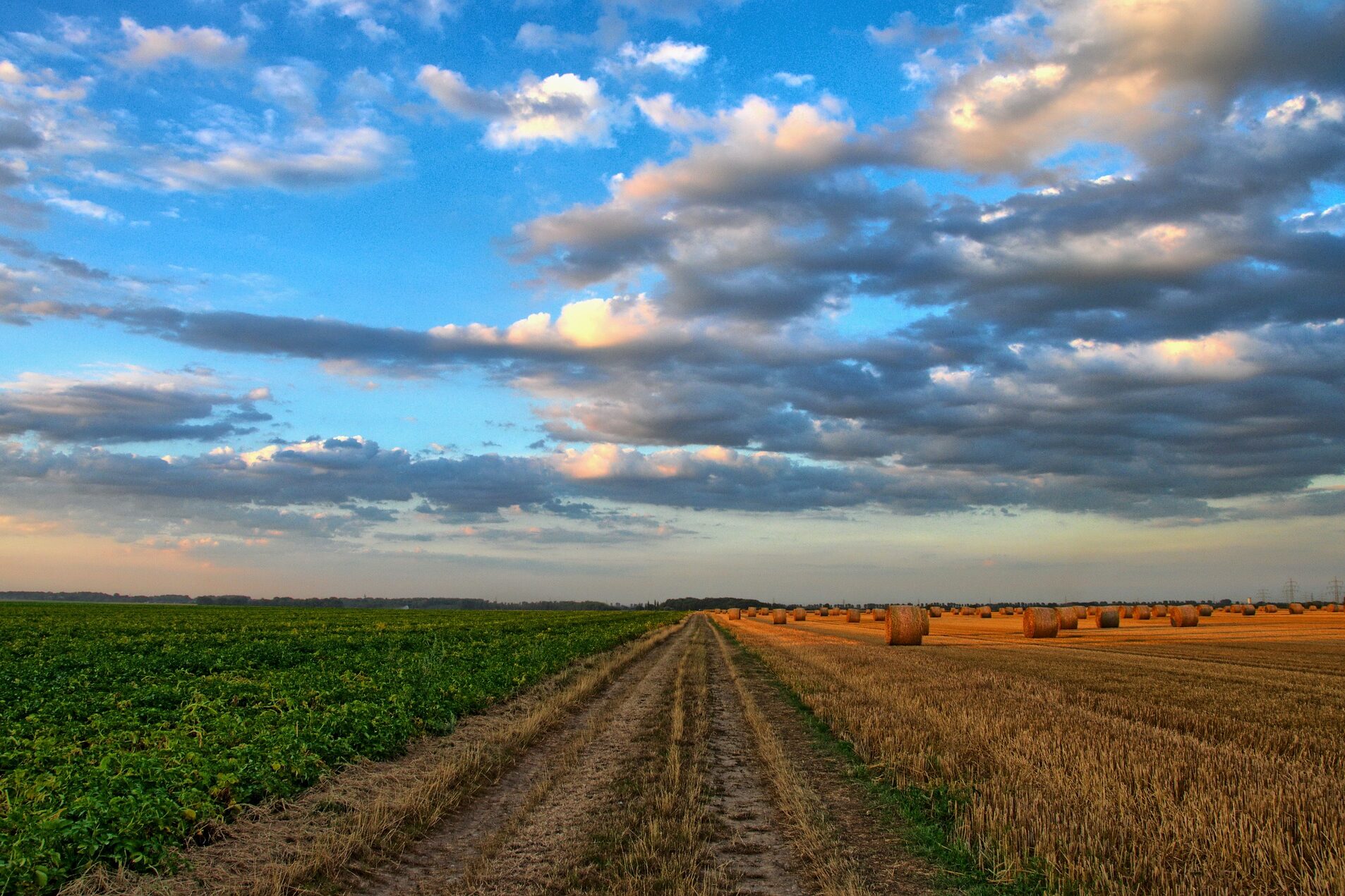 Bioökonomie: Böden spielen eine sehr wichtig Rolle