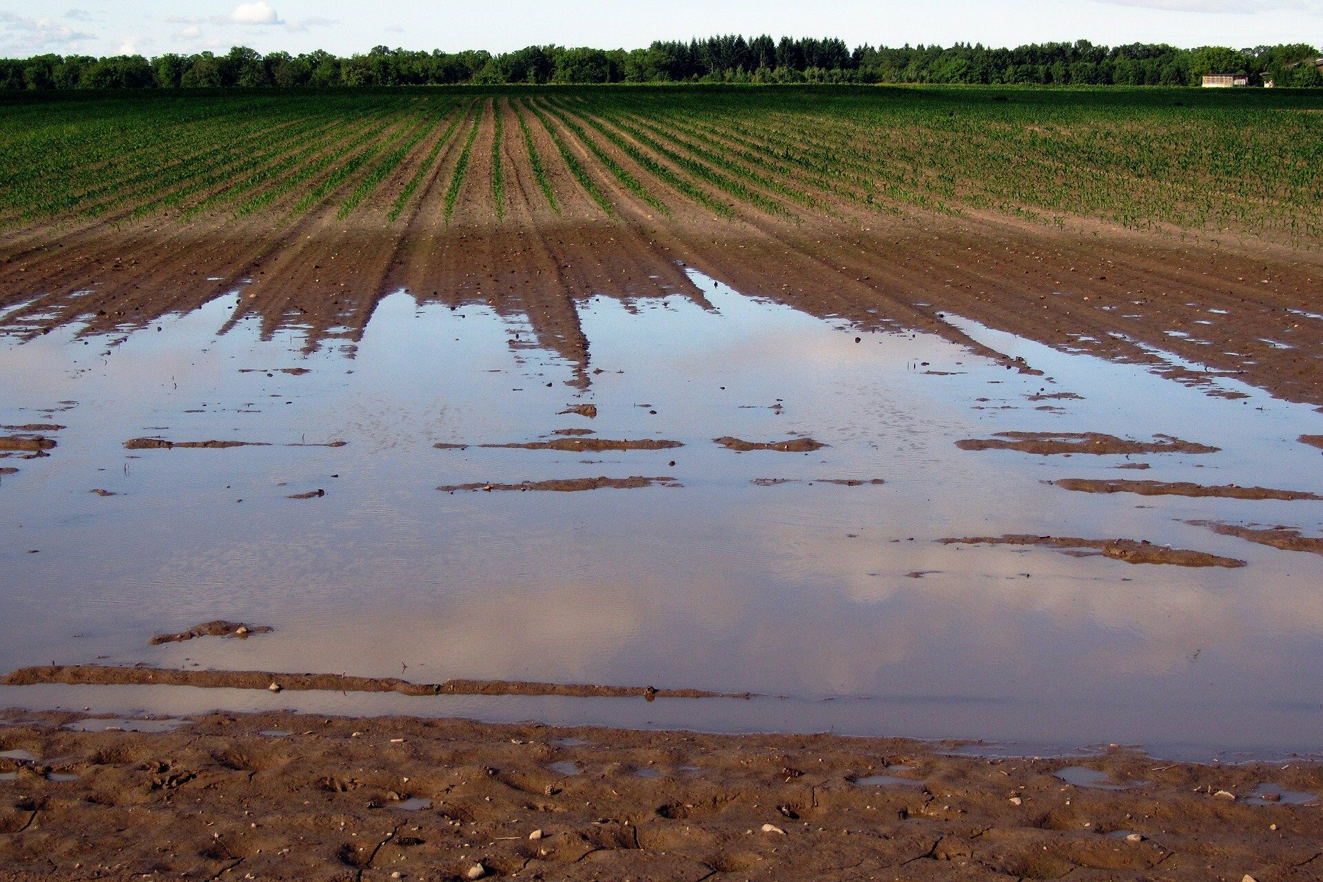 Wetterextreme auf Ackerböden: Erosion und Staunässe auf einem landwirtschaftlichen Feld nach dem Regen. © geralt | Pixabay