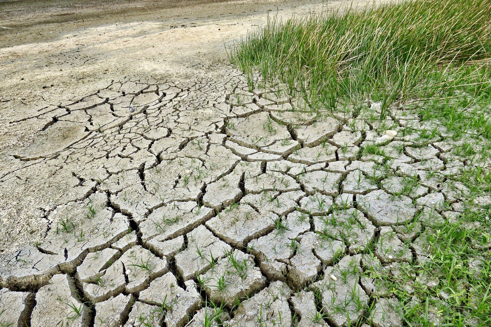 Eine der Folgen der gobalen Erwärmung sind trockene, verdorrende Böden