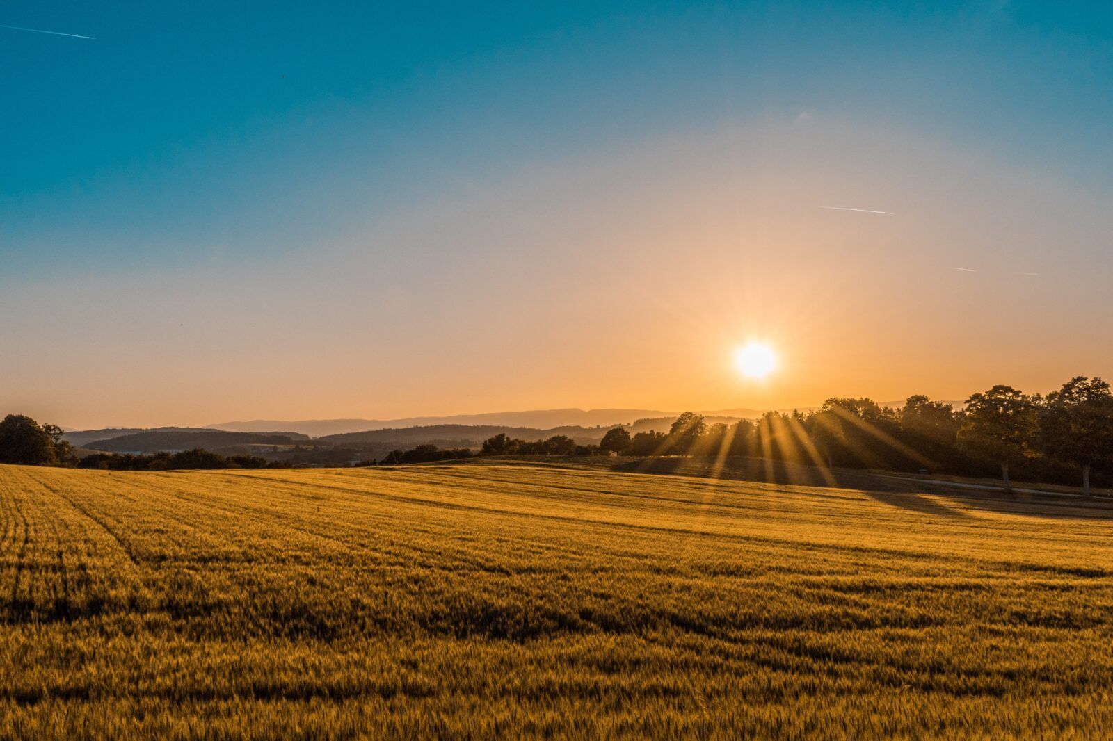 Eine Landschaftsaufnahme zeigt ein Getreidefeld mit tiefstehender Sonne am Himmel.